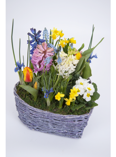 Aranjament floral "Spring Love"