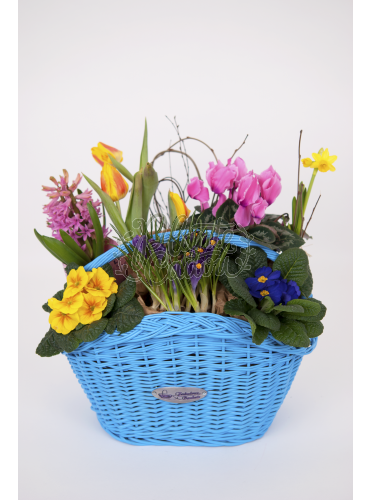 Aranjament floral in cos turcoaz