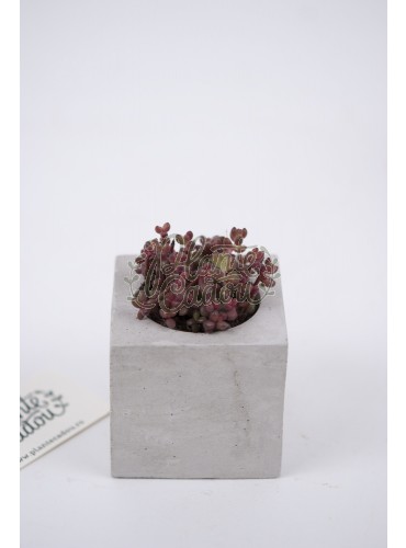 Ghiveci ciment Cube Earth Natur