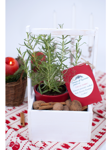 Cutia cu plante aromatice
