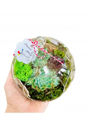 Martisor terariu cu plante suculente
