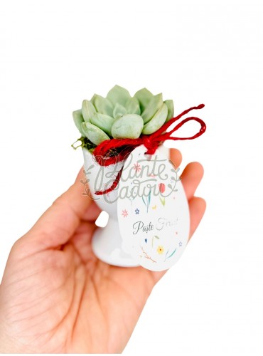 Planta suculenta decoratiune Paste