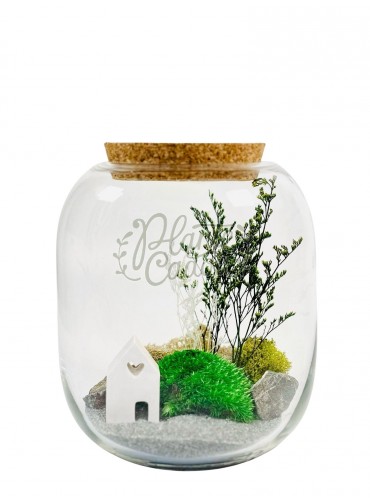 Terariu cu plante prezevate