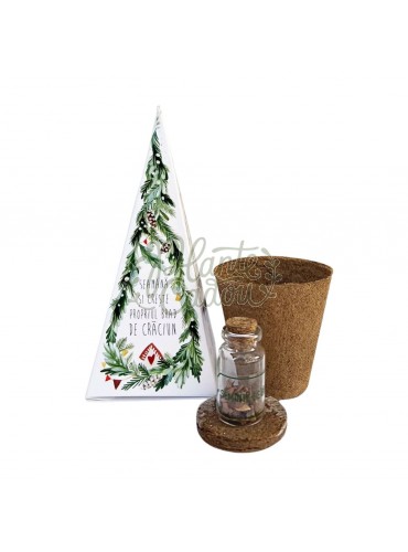 Piramida kit de plantat brad