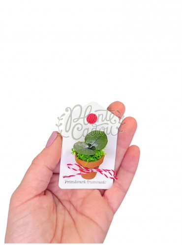 Martisor ghiveci licheni