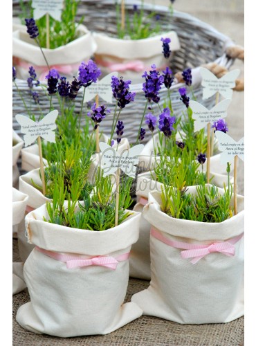 Lavanda sac panza