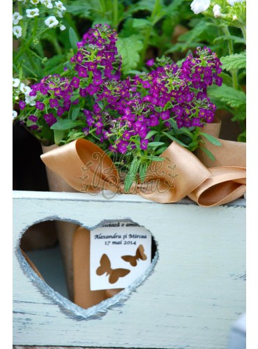 Alyssum in hartie