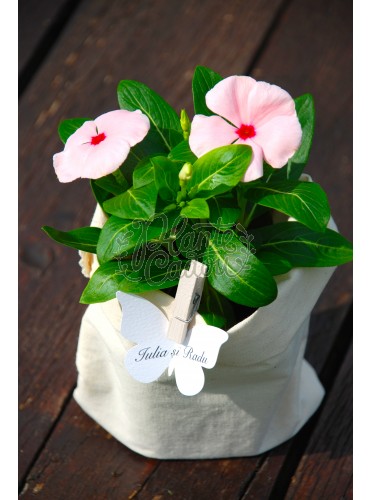 Vinca in sac de panza