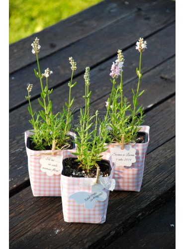 Lavanda in hartie
