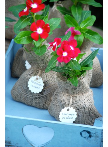 Vinca in sac iuta