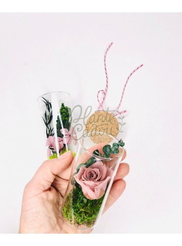 Martisor mini terariu cu trandafir prezervat