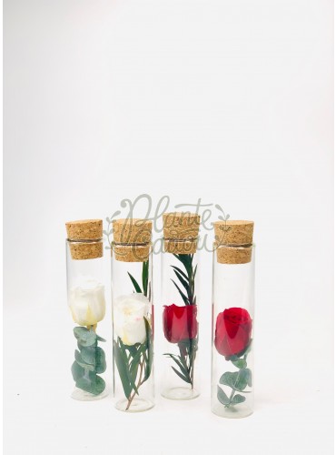 Martisor sticluta cu trandafir prezervat