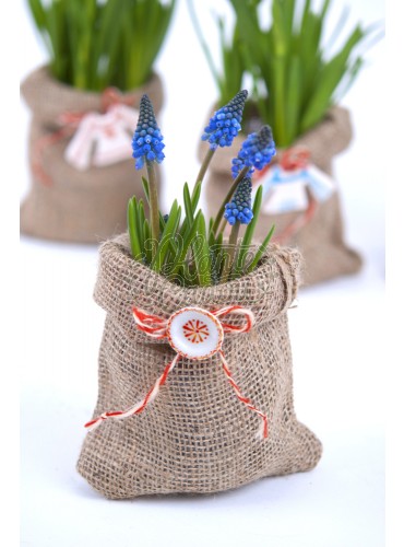 Flori de primavara martisor