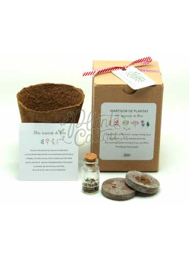 Martisor mini kit de plantat flori 