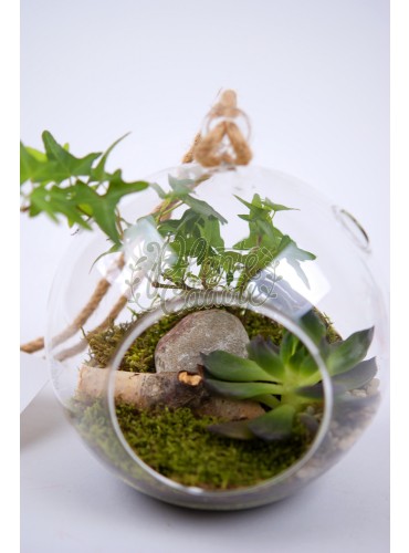  Terrarium Glob mediu