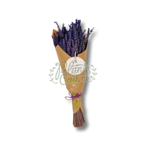 Buchet lavanda prezervata