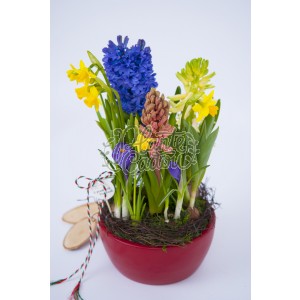 Aranjament floral "Sunny Spring"