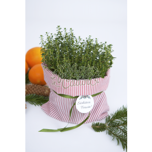 Plante aromatice