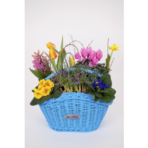 Aranjament floral in cos turcoaz