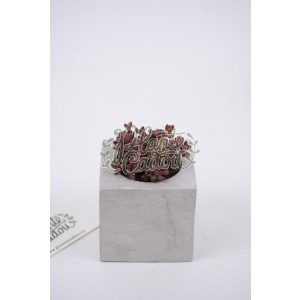 Ghiveci ciment Cube Earth Natur