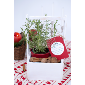 Cutia cu plante aromatice