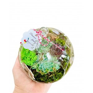Martisor terariu cu plante suculente