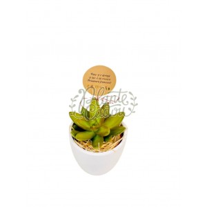 Martisor planta suculenta ceramica