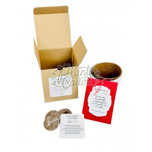 Martisor kit de plantat flori de primavara
