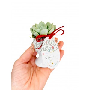 Planta suculenta decoratiune Paste