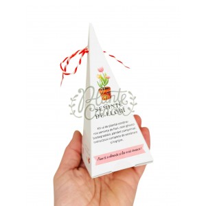 Piramida kit de plantat seminte flori
