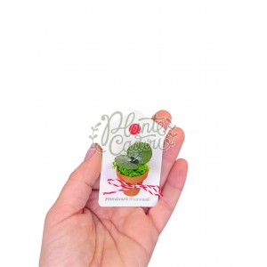 Martisor ghiveci licheni