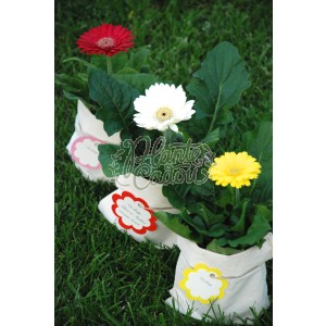 Gerbera in sac de panza