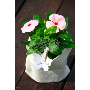 Vinca in sac de panza