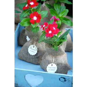 Vinca in sac iuta