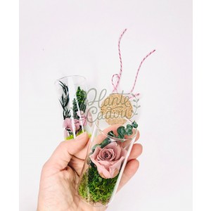 Martisor mini terariu cu trandafir prezervat