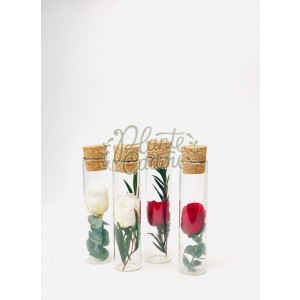 Martisor sticluta cu trandafir prezervat