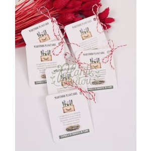 Martisor plantabil capsula cu seminte de flori
