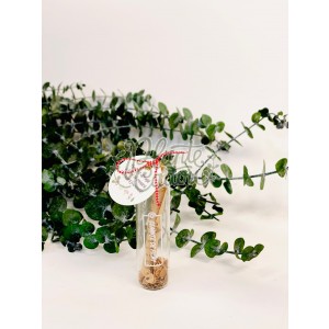 Martisor sticluta cu seminte de flori