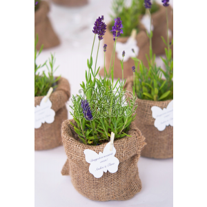 Lavanda sac iuta