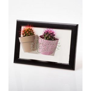 Marturii mini plante in ghivece magnet