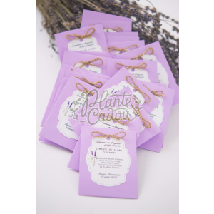 Seminte de Lavanda