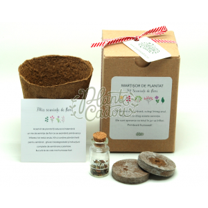 Martisor mini kit de plantat flori 