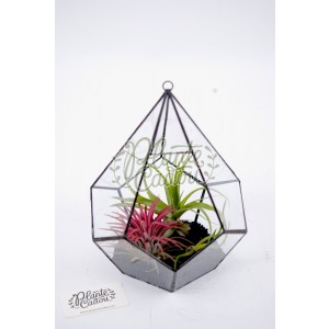 Terrarium geometric cu plante aeriene