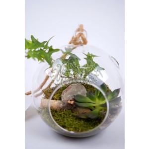 Terrarium Glob mediu