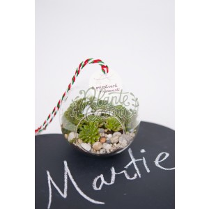 Spring bowl terrarium