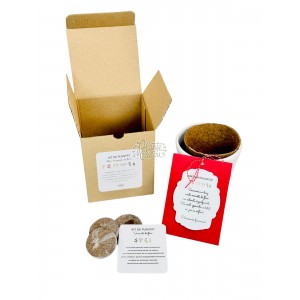 Martisor kit de plantat flori de primavara