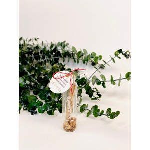 Martisor sticluta cu seminte de flori