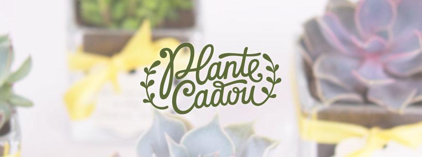 Despre plante in ghiveci. Intreaga lume este o gradina.
