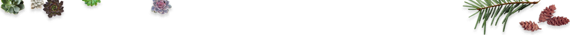 PlanteCadou topheader image
